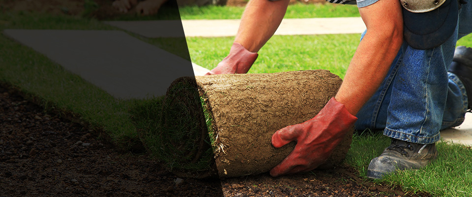 Reynoldsville Landscapers